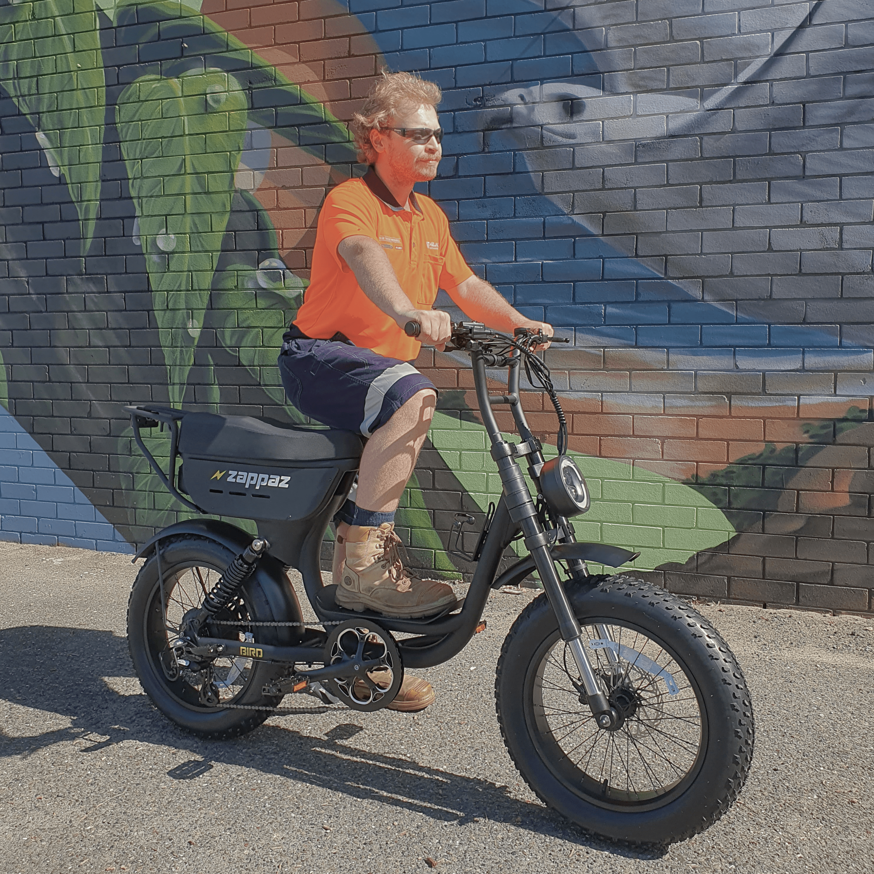 ZAPPAZ Bird Electric Fat Bike